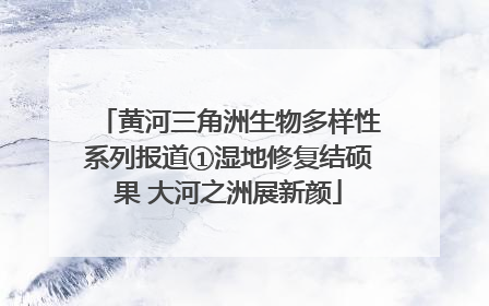 黄河三角洲生物多样性系列报道①湿地修复结硕果 大河之洲展新颜
