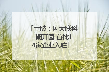 黄陂：因大联科一期开园 首批14家企业入驻