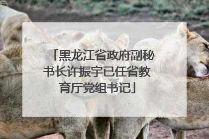 黑龙江省政府副秘书长许振宇已任省教育厅党组书记
