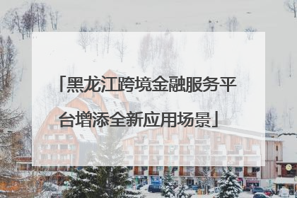黑龙江跨境金融服务平台增添全新应用场景