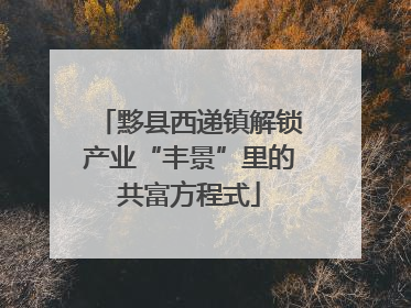 黟县西递镇解锁产业“丰景”里的共富方程式