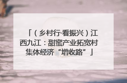 （乡村行·看振兴）江西九江：甜蜜产业拓宽村集体经济“增收路”