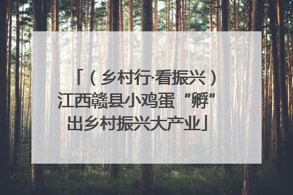 （乡村行·看振兴）江西赣县小鸡蛋“孵”出乡村振兴大产业