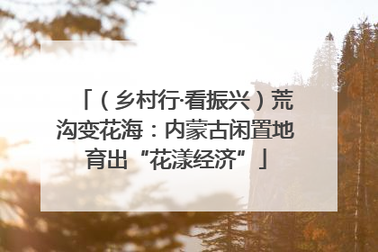 （乡村行·看振兴）荒沟变花海：内蒙古闲置地育出“花漾经济”
