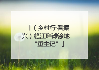 （乡村行·看振兴）赣江畔滩涂地“重生记”