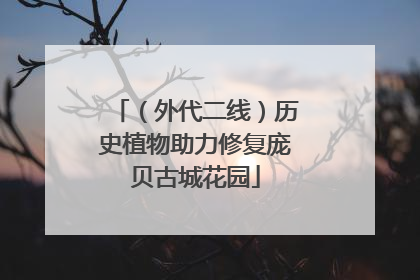 （外代二线）历史植物助力修复庞贝古城花园