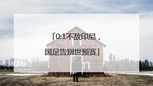 0:1不敌印尼，国足告别世预赛