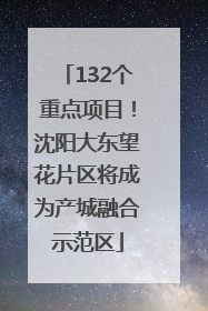 132个重点项目！沈阳大东望花片区将成为产城融合示范区