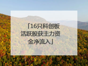 16只科创板活跃股获主力资金净流入
