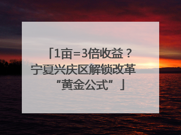 1亩=3倍收益？宁夏兴庆区解锁改革“黄金公式”
