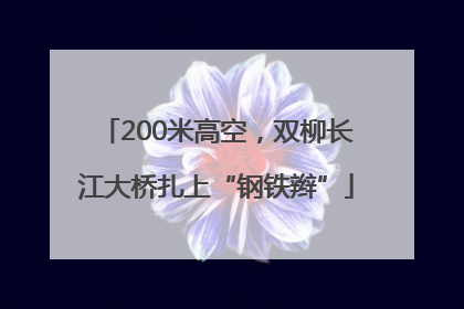 200米高空，双柳长江大桥扎上“钢铁辫”