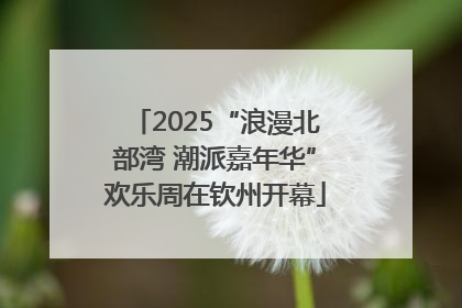 2025“浪漫北部湾 潮派嘉年华”欢乐周在钦州开幕