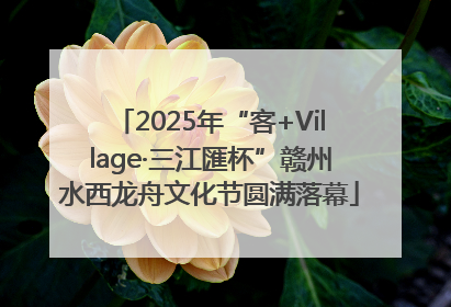 2025年“客+Village·三江匯杯”赣州水西龙舟文化节圆满落幕