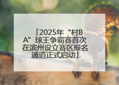 2025年“村BA”球王争霸赛首次在滨州设立赛区报名通道正式启动
