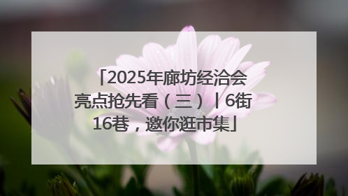 2025年廊坊经洽会亮点抢先看（三）丨6街16巷，邀你逛市集