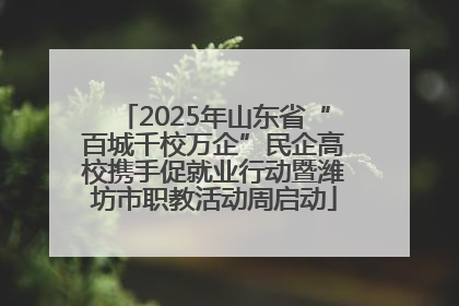 2025年山东省“百城千校万企”民企高校携手促就业行动暨潍坊市职教活动周启动