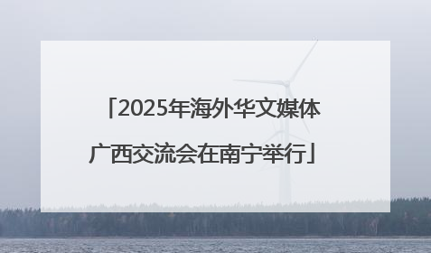 2025年海外华文媒体广西交流会在南宁举行