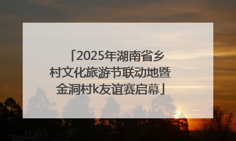 2025年湖南省乡村文化旅游节联动地暨金洞村k友谊赛启幕