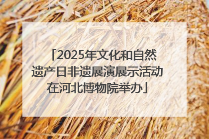 2025年文化和自然遗产日非遗展演展示活动在河北博物院举办