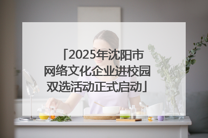 2025年沈阳市网络文化企业进校园双选活动正式启动