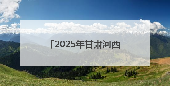 2025年甘肃河西电网大面积停电暨电力设施抢险救援政企协同联动综合应急演练在武威成功举行