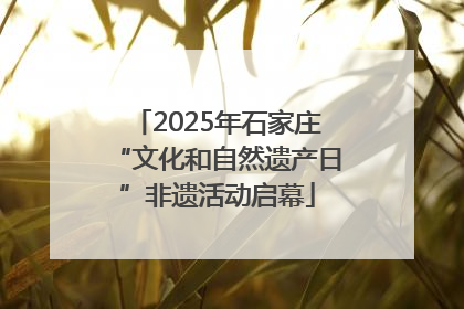 2025年石家庄“文化和自然遗产日”非遗活动启幕