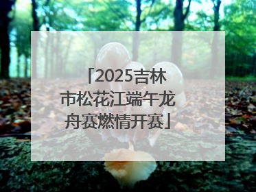 2025吉林市松花江端午龙舟赛燃情开赛