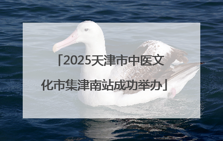 2025天津市中医文化市集津南站成功举办