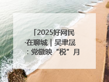 2025好网民·在聊城｜吴聿晟：党徽映“税”月 网播传政声