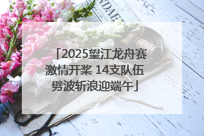 2025望江龙舟赛激情开桨 14支队伍劈波斩浪迎端午