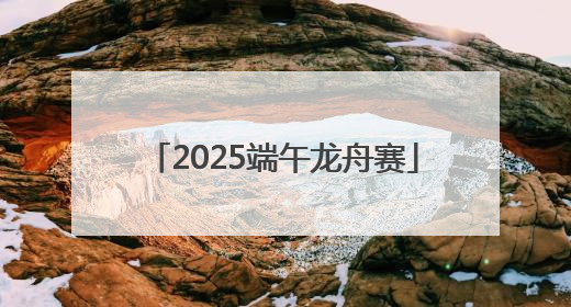 2025端午龙舟赛
