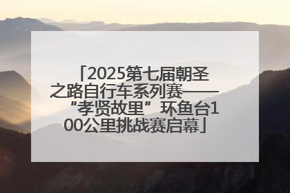 2025第七届朝圣之路自行车系列赛——“孝贤故里”环鱼台100公里挑战赛启幕