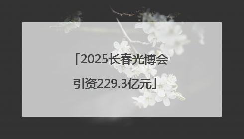 2025长春光博会引资229.3亿元