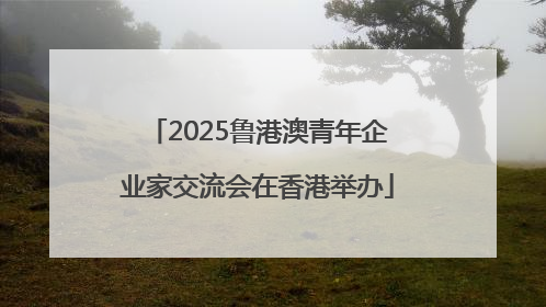 2025鲁港澳青年企业家交流会在香港举办
