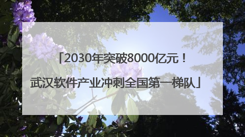 2030年突破8000亿元！武汉软件产业冲刺全国第一梯队