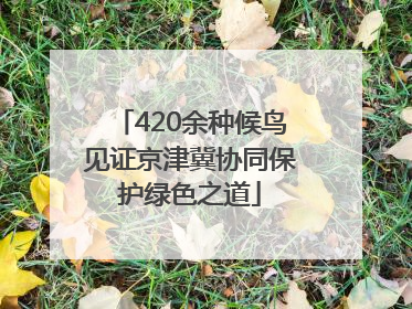 420余种候鸟见证京津冀协同保护绿色之道