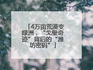 4万亩荒漠变绿洲，“戈壁奇迹”背后的“潍坊密码”