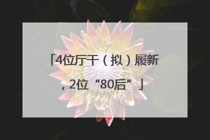4位厅干（拟）履新，2位“80后”