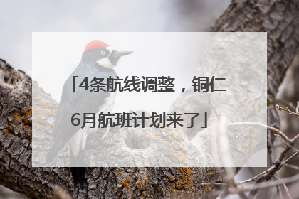 4条航线调整，铜仁6月航班计划来了