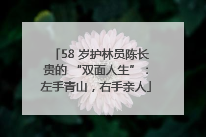 58 岁护林员陈长贵的 “双面人生”：左手青山，右手亲人
