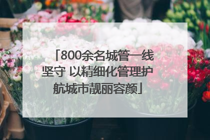800余名城管一线坚守 以精细化管理护航城市靓丽容颜