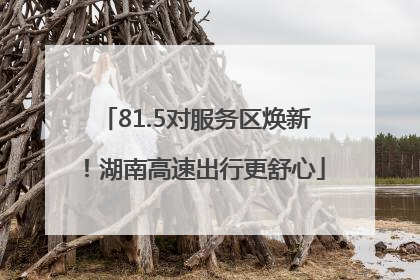 81.5对服务区焕新！湖南高速出行更舒心