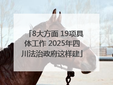 8大方面 19项具体工作 2025年四川法治政府这样建