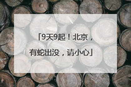 9天9起！北京，有蛇出没，请小心