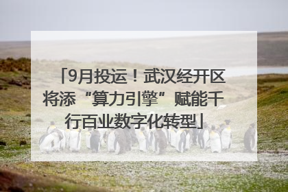 9月投运！武汉经开区将添“算力引擎”赋能千行百业数字化转型