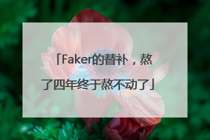 Faker的替补，熬了四年终于熬不动了