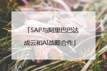 SAP与阿里巴巴达成云和AI战略合作