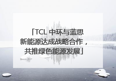 TCL 中环与蓝思新能源达成战略合作，共推绿色能源发展